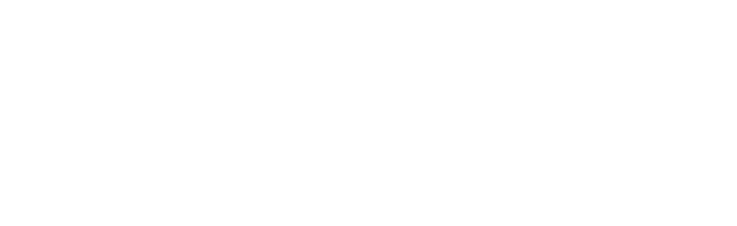 prcomputer_logo_compatto_w